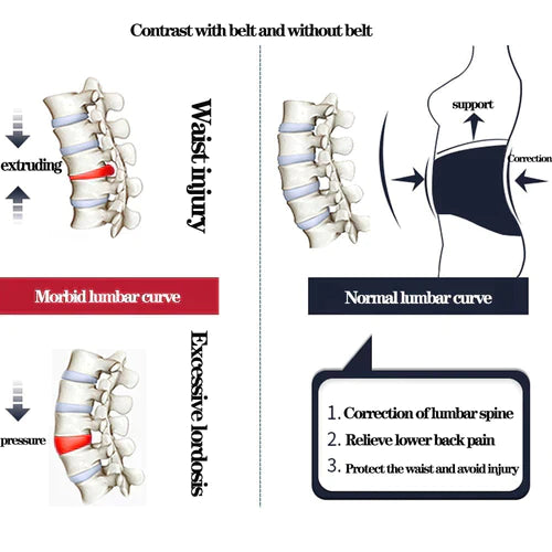 LUMBAR AND BACK SUPPORT BELT - dealshub